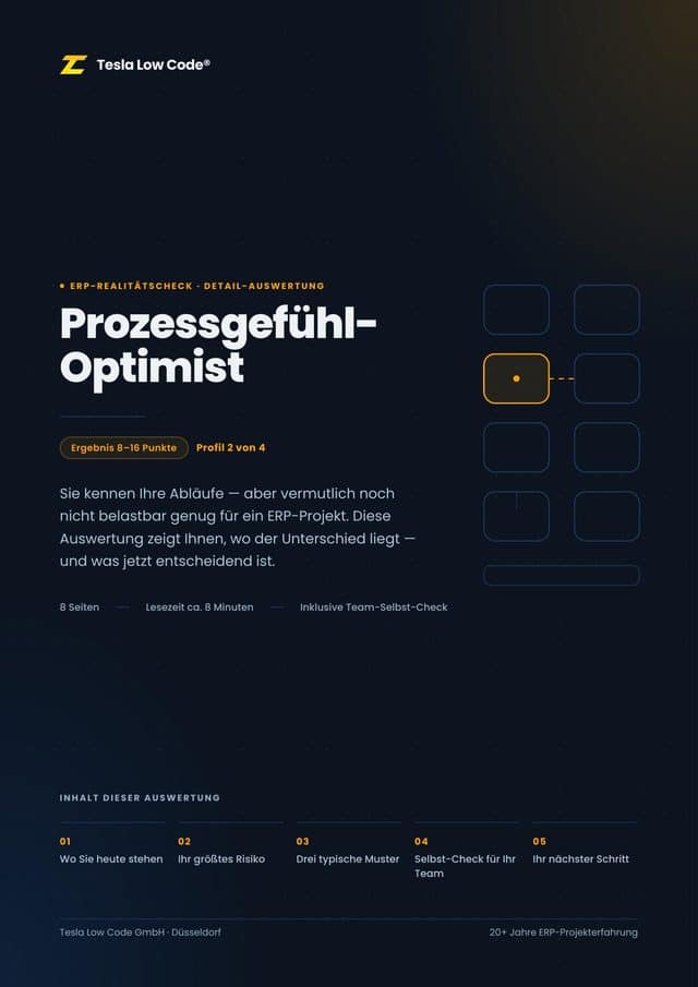 Auswertungsseite Profil Prozessgefühl-Optimist